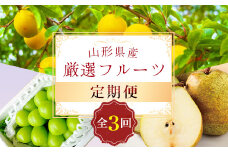 《先行予約 2026年8月発送開始》 山形県の至高！ 山形県厳選 フルーツ定期便 全3回 FSY-2399