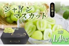 《先行予約 令和7年度発送》 【贈答用】とっても人気の『シャインマスカット』 2房 化粧箱入り FSY-2057