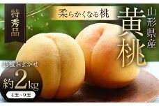 【令和7年産 先行受付】山形県産黄桃 約2kg 品種おまかせ 特秀品 もも 果物 フルーツ FSY-2058