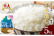 山形県産 はえぬき精米 5kg 【令和6年産】 F2Y-4070