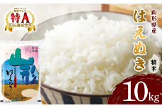 山形県産 はえぬき精米 5kg×2袋 【令和6年産】 F2Y‐4071