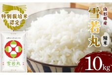 山形県産 雪若丸精米 5kg×2袋 【令和6年産】 F2Y‐4073