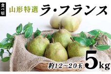 【先行受付（令和7年度発送）】食べ頃 山形特選ラ・フランス5kg FSY-2032