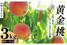 【先行受付（令和7年度発送）】山形もぎたて『黄金桃』(無袋)3kg FSY-2033