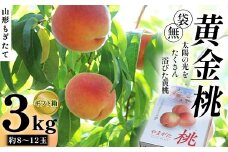 【先行受付（令和7年度発送）】山形もぎたて『黄金桃』(無袋)3kg ギフト箱入り FSY-2034