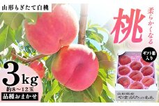 【先行受付（令和7年度発送）】山形もぎたて白桃『柔らかくなる桃』品種おまかせ3kg ギフト箱入り FSY-2035