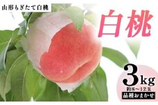 【先行受付（令和7年度発送）】山形もぎたて白桃 品種おまかせ3kg FSY-2036