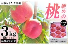 【先行受付（令和7年度発送）】山形もぎたて白桃『硬めの桃』品種おまかせ3kg ギフト箱入り FSY-2038