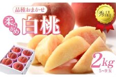 【先行予約（2025年8月下旬頃より順次発送）】柔らかめ白桃 2kg（5玉～9玉）秀品 FSY-2086