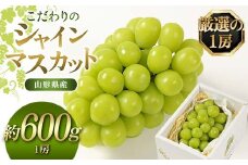 【先行予約（2025年9月より順次発送）】【厳選の1房】こだわりの シャインマスカット 約600g 山形県産 FSY-2087