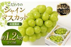 【先行予約（2025年9月より順次発送）】【満足の2～3房】こだわりのシャインマスカット 約1.2kg 山形県産 FSY-2088