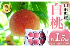 《2025年先行予約》 山形県産 白桃 品数・玉数おまかせ 秀品 約1.5kg FSY-2018