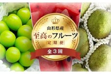 《2025年先行予約》 山形県 至高のフルーツ！ 山形県旬のフルーツ定期便 全3回 FSY-2013