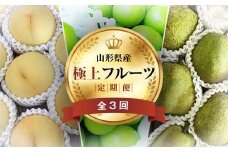 《2025年先行予約》 山形県 至高のフルーツ！ 山形県極上フルーツ定期便 全3回 FSY-2012