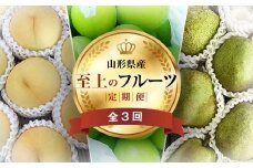 《2025年先行予約》 山形県 至高のフルーツ！ 山形県至上のフルーツ定期便 全3回 FSY-2014
