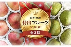 《2026年先行予約》 山形県 至高のフルーツ！ 山形県特出フルーツ定期便 全3回 FSY-2461