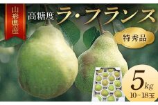《2025年産 先行予約》山形県産 高糖度 ラ・フランス 5kg 10～18玉 特秀品 FSY-2135