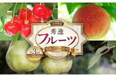 《2025年産 先行予約》山形の至高！山形県産 秀逸フルーツ定期便B 全3回 FSY-2137