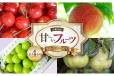 《2025年産 先行予約》山形県 至高のフルーツ！山形県産甘～いフルーツ定期便 全4回 FSY-2138