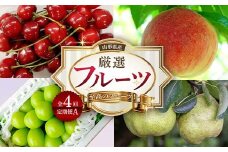《2025年産 先行予約》山形県 至高のフルーツ！ 山形県産 厳選フルーツ定期便A 全4回 FSY-2139