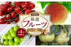 《2026年産 先行予約》山形県 至高のフルーツ！ 山形県産 厳選フルーツ定期便A 全4回 FSY-2437