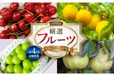 《2025年産 先行予約》山形県 至高のフルーツ！ 山形県産 厳選フルーツ定期便B 全4回 FSY-2140