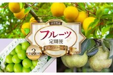 《2025年産 先行予約》山形県 至高のフルーツ！ 山形県産 フルーツ定期便 全3回 FSY-2142