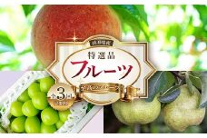 《2025年産 先行予約》山形県 至高のフルーツ！ 山形県産 特選品フルーツ定期便 全3回 FSY-2143