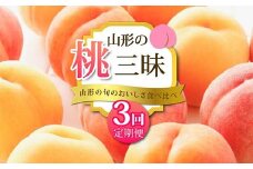《2025年 先行予約》 山形の旬のおいしさ食べ比べ 山形の桃三昧 3回定期便 桃 果物 フルーツ FSY-2049