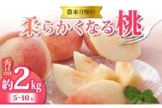 《2025年 先行予約》 農家自慢の柔らかくなる桃 約2kg(5～10玉) 果物 フルーツ FSY-2052