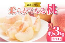 《2025年 先行予約》 農家自慢の柔らかくなる桃 約3kg(6～14玉) 果物 フルーツ FSY-2053
