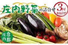 【2025年度発送先行予約】 庄内野菜の詰合せ 定期便（3回お届け） FSY-2145
