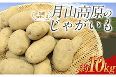 月山高原のじゃがいも 約10kg FSY-1392