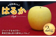 《2025年度発送》 りんご はるか 2kg(5～8玉) 秀品 果物 フルーツ FSY-1391