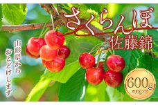 【令和7年度先行予約】 さくらんぼ（佐藤錦）600g（200g×3）FSY-2123