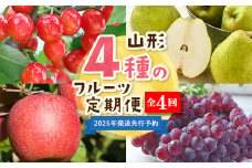 【2025年度 先行予約】4種のフルーツ定期便 全4回 さくらんぼ ぶどう 梨 りんご 果物 フルーツ FSY-2062
