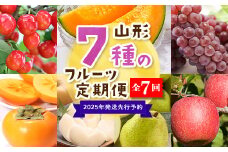 【2025年度 先行予約】7種のフルーツ定期便 全7回 さくらんぼ メロン ぶどう 梨 柿 りんご 果物 フルーツ FSY-2063
