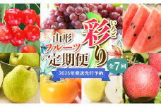 【2025年度 先行予約】彩りフルーツ定期便 全7回 さくらんぼ ぶどう すいか 梨 柿 りんご 果物 フルーツ FSY-2065