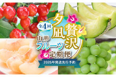 【2025年度 先行予約】夕凪贅沢フルーツ定期便 全4回 さくらんぼ メロン 桃 シャインマスカット 果物 フルーツ FSY-2068
