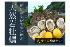 庄内浜 天然岩牡蠣 大サイズ 5個 牡蠣剥き用ナイフ付き FSY-2100