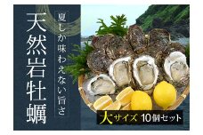 庄内浜 天然岩牡蠣 大サイズ 10個 牡蠣剥き用ナイフ付き FSY-2101