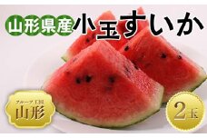 【2025年 先行予約】♪フルーツ王国山形♪ 山形県産 小玉すいか 2玉 FSY-2022