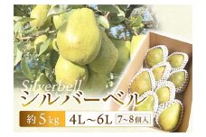 【令和7年先行受付】シルバーベル 約5kg（7～8個） ラ・フランス 梨 洋梨 果物 フルーツ FSY-2092