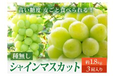 【令和7年先行受付】シャインマスカット 約1.8kg（3房） ぶどう 果物 フルーツ FSY-2107