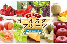 《2026年 先行予約》 やまがたオールスターフルーツ 9回定期便 いちご さくらんぼ ぶどう メロン 桃 柿 梨 りんご FSY-2303