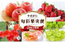 《先行予約》 やまがた旬彩果実便 5回定期便 りんご いちご さくらんぼ 桃 ぶどう FSY-2300