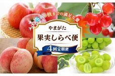 《先行予約》 やまがた果実しらべ便♪ 冬から秋までの満足な量♪ 4回定期便 りんご さくらんぼ 桃 シャインマスカット FSY-2301