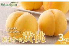 【仲野観光果樹園】≪2025年先行予約≫贈答用 山形県産 おまかせ 黄桃 3kg(6～11玉) 秀品 2025年8月上旬から順次発送 F2Y-6115