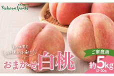 【仲野観光果樹園】≪2025年先行予約≫ご家庭用 山形県産 おまかせ 白桃 約5kg(12～20玉) 2025年8月上旬から順次発送 F2Y-6116