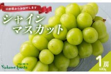 【仲野観光果樹園】≪2025年先行予約≫贈答用 山形県産 シャインマスカット 1房（600g） 秀品 2025年9月上旬から順次発送 F2Y-6118